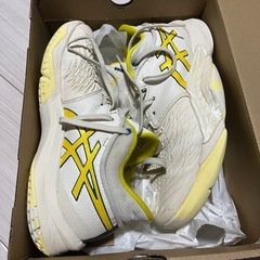2足セットasics アンプレアルスロー　25cm　の画像