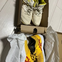 2足セットasics アンプレアルスロー　25cm　の画像