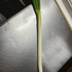 ネギ3本の画像