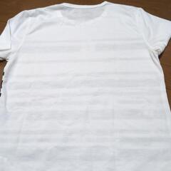 メンズ半袖（未使用）Мの画像
