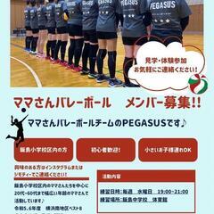【栄区】ママさんバレーボール　メンバー募集