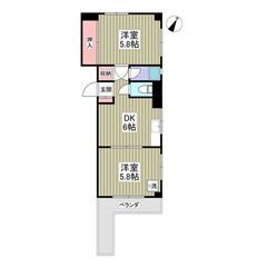 MS🎐敷金ゼロ、礼金ゼロ、初月賃料ゼロ、仲介手数料ゼロ🎐角部屋！...