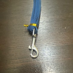 お散歩リードの画像