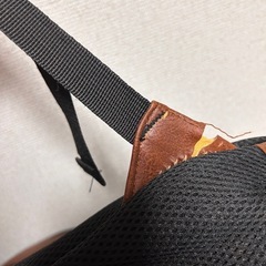イタリアリュックサックの画像