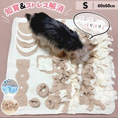 ノーズワーク