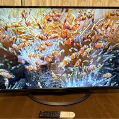 SHARP AQUOS 50V型　液晶テレビ　4K Android 4T-C50AJ1 シャープ　アクオス　2018年製