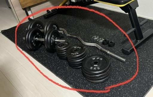 【総額4万円相当】ワイルドフィット製 ダンベル他 82.5kg