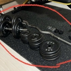 【総額4万円相当】ワイルドフィット製 ダンベル他 82.5kg