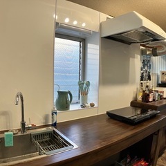 上池台😺保護猫と暮らすシェアハウス - シェアハウス
