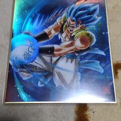ドラゴンボール色紙の画像