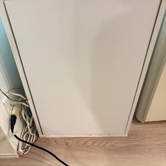 【譲り先確定】ミドリフグ生体＋水槽＋水槽台＋飼育セットの画像