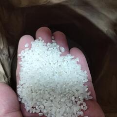 玄米買います。