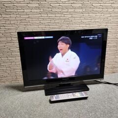 パナソニック VIERA TH-L23X5 23型液晶テレビ (ミニオン) 岡本の