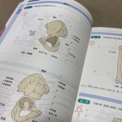 解剖トレーニングノートの画像