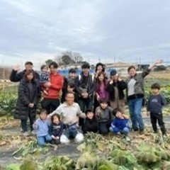 春野菜収穫体験（ランチ付き） − 埼玉県