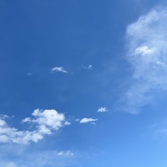 アーリーサマー　ライブコンサート　イン　甲府市曽根丘陵公園