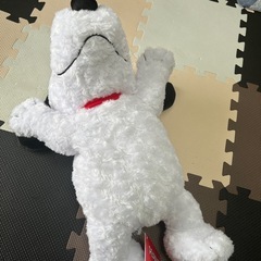 BIG⭕️SNOOPY