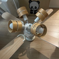シーリングファンライトの画像