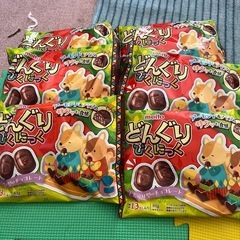どんぐりピクニックの画像