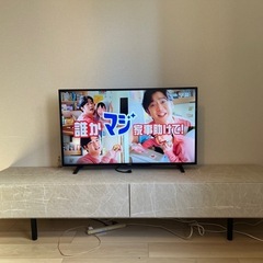 LOWYA テレビ台の画像