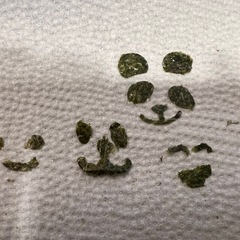 無料　キャラ弁　のりパンチ4個セットの画像