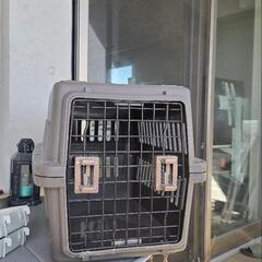 小型犬用　クレート