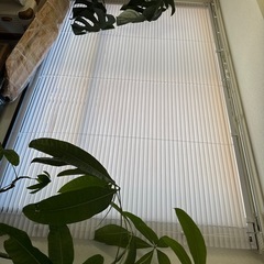 ブラインド　プラスチック　横180cm 縦140cmの画像