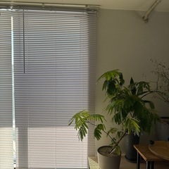 【引取希望無ければ3/3粗大ゴミ処分】ブラインドプラスチック　横96cm 縦191cmの画像