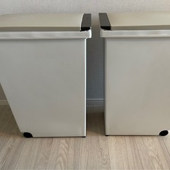 アスベル ゴミ箱 2こセット　フタ付き プッシュ式 45L ごみ箱 