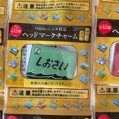 エビス × エル特急 L特急 ヘッドマークチャーム 全12種 フルコンプ 非売品 未使用自宅保管品  の画像