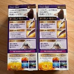 ダリヤ サロンドプロ 泡のヘアカラー・エクストラリッチ 白髪用 ４　ライトブラウン ５０ｇ＋５０ｇ 医薬部外品  花王 ブローネ ワンプッシュカラー 4 明るいライトB 明るいライトブラウン 100g 福岡　田川市　白髪染め 白髪 ヘアカラー 男女兼用　染め粉　染粉 オシャレ染め 格安  の画像