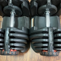 可変式ダンベル40kg×2＋アジャスタブルベンチ
の画像