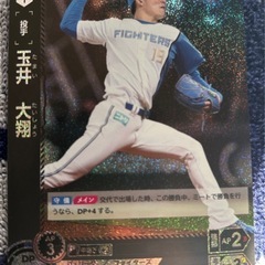 プロ野球カードゲーム