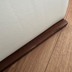 遠赤外線ドームの画像