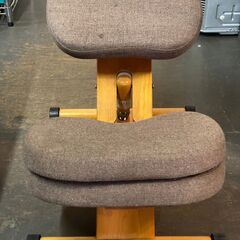 バランスチェア プロポーションチェア　補助クッション付きの画像