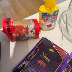 ベタ飼育セットの画像