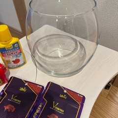 ベタ飼育セットの画像