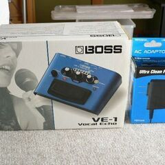 美品 BOSS VE-1 + 純正ACアダプター「PSA-100S2」セットの画像