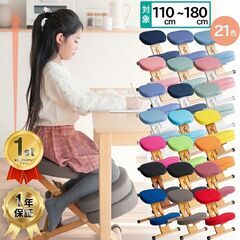 バランスチェア プロポーションチェア　補助クッション付きの画像