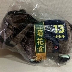 サラブレッドコレクション菊花賞キセキ