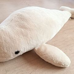 鴨川シーワールド　ベルーガ　ぬいぐるみ