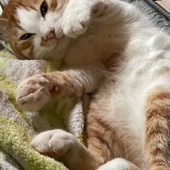 バスタオル等お願いします