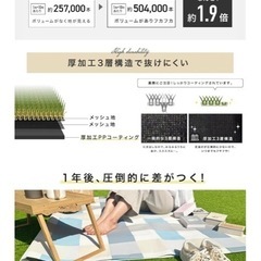 【新品】人工芝1m✖️10m 2つの画像