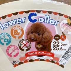 ペット用 エリザベスカラー･ブラシ･入浴剤セットの画像