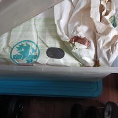 着物色々
