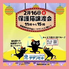 サザンヒル保護猫譲渡会