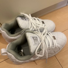 DCシューズDC SHOES ALLIANCE SE SN 