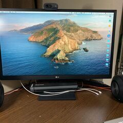 【希望者と交渉中】LG 27インチモニター 27EA430V-B...