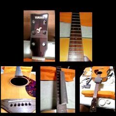 ★メイプル虎杢★YAMAHA FG-750S★単板トップ♪の画像
