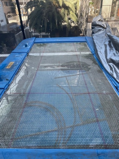 競技用トランポリン中古5m×3m 引き取りに来ていただける方優先